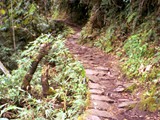 017MachuTrailReal