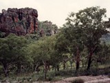 Kakadu National Park, north Austraila.Kakadu is a World Heritage-listed national park