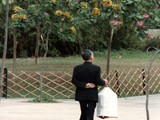 Just a local Hong Kong resident taking his bird for a walk