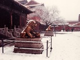 Forbidden City, Beijing, China