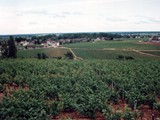 France countryside