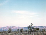 Joshua Tree National Park, CA