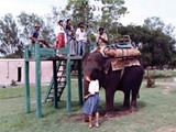 Banijpur Park, elephant ride