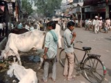 Agra street scene