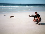 Seal Beach, Kangeroo Island, south Australia