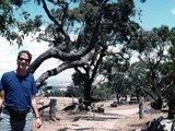 Me and the Joshua trees